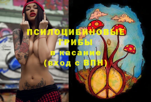 Альфа ПВП Строитель