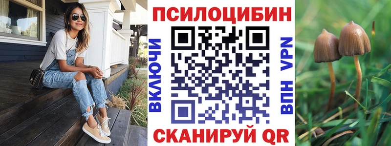 omg зеркало  Можайск  Галлюциногенные грибы Psilocybine cubensis 